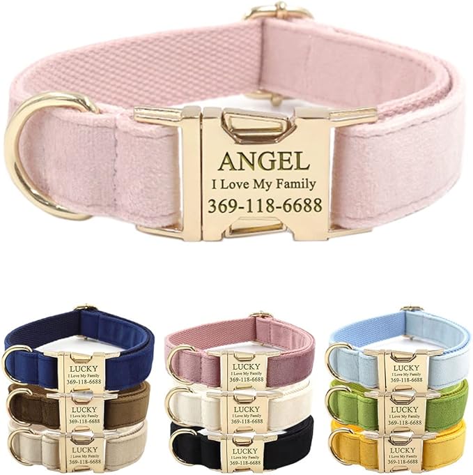 Custom Dog Collar Personalized