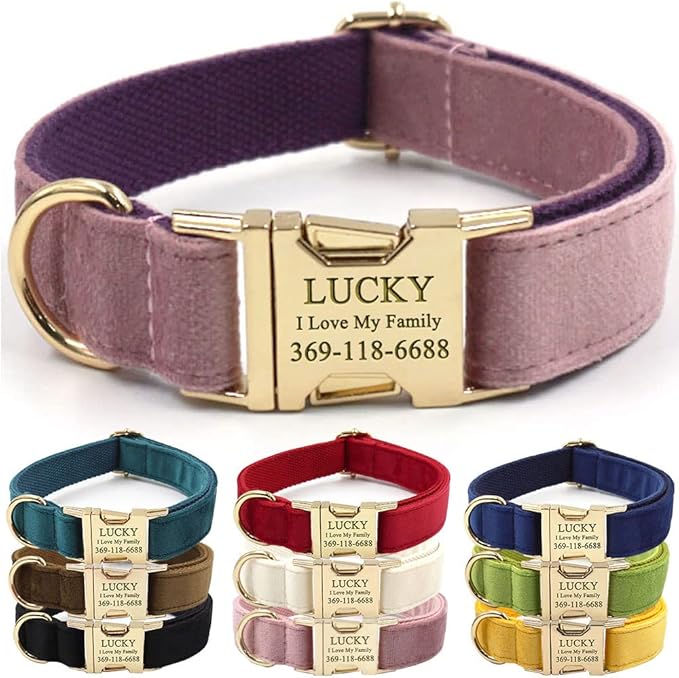 Custom Dog Collar Personalized