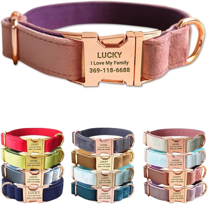 Custom Dog Collar Personalized