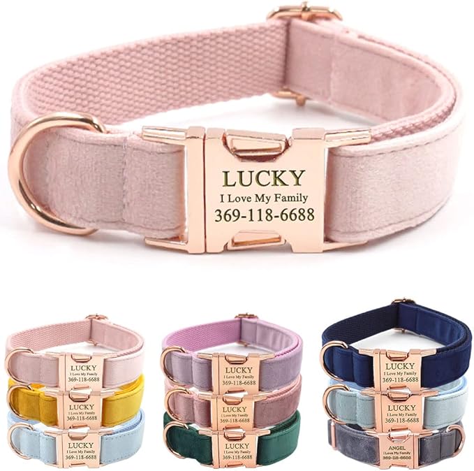 Custom Dog Collar Personalized