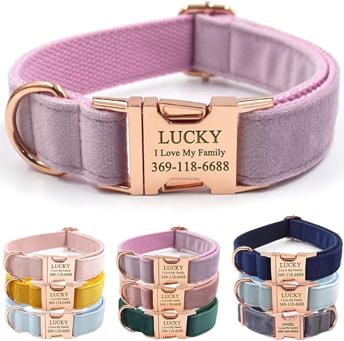 Custom Dog Collar Personalized