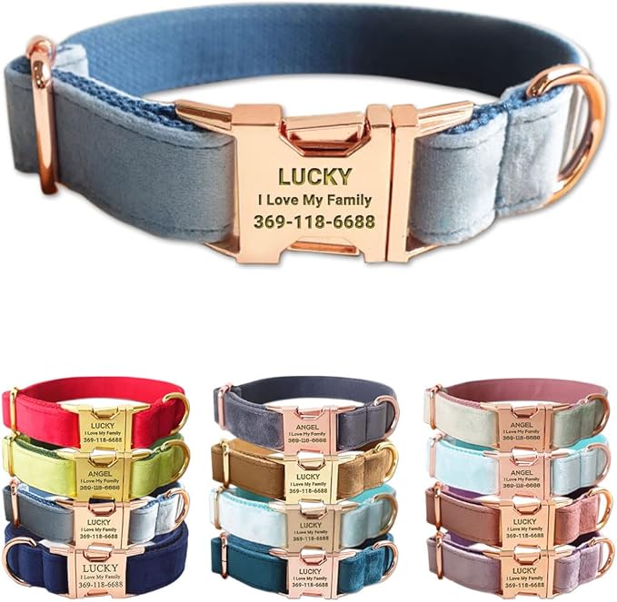Custom Dog Collar Personalized