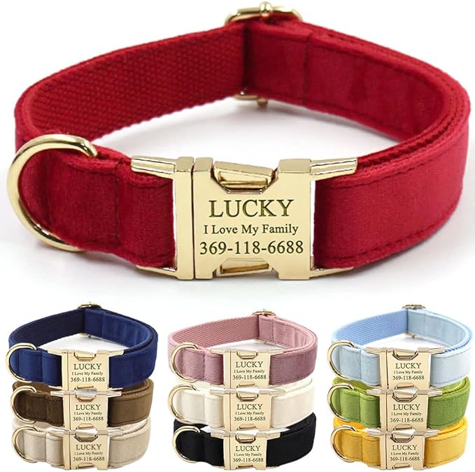 Custom Dog Collar Personalized