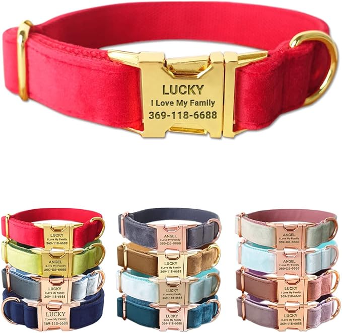 Custom Dog Collar Personalized