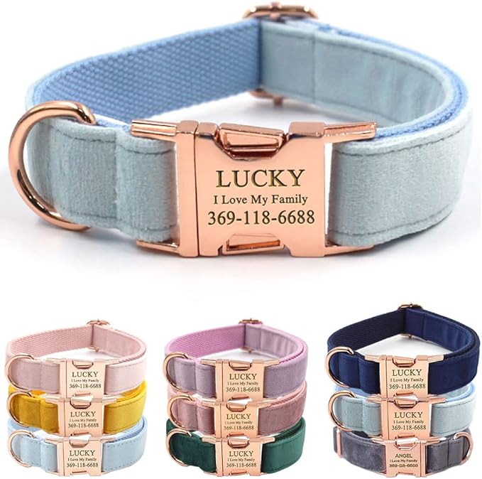 Custom Dog Collar Personalized