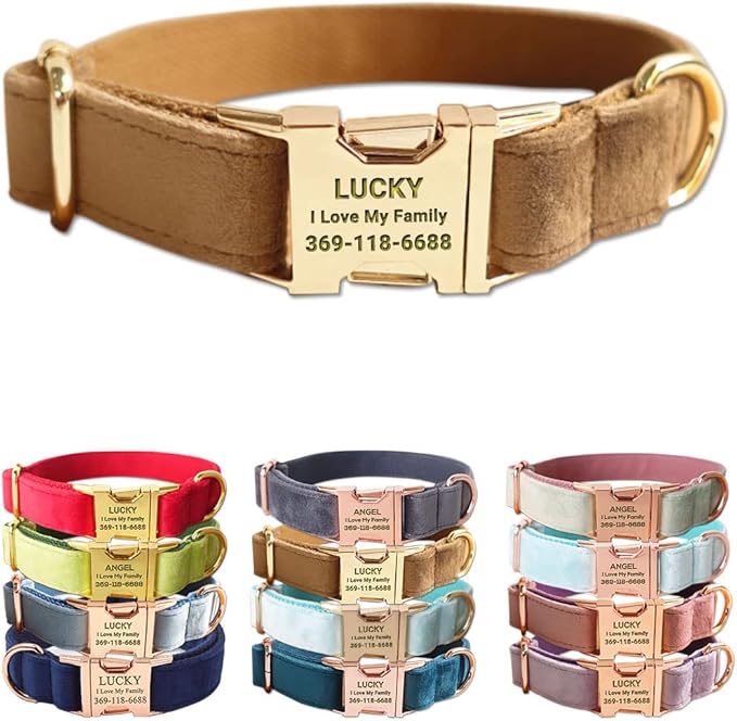 Custom Dog Collar Personalized