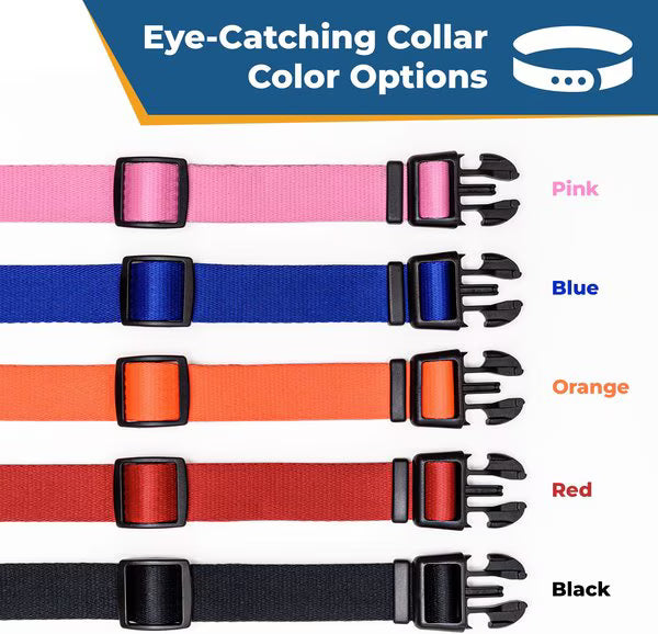 GoTags Nylon Personalized Dog Collar