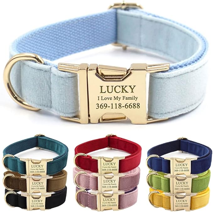 Custom Dog Collar Personalized