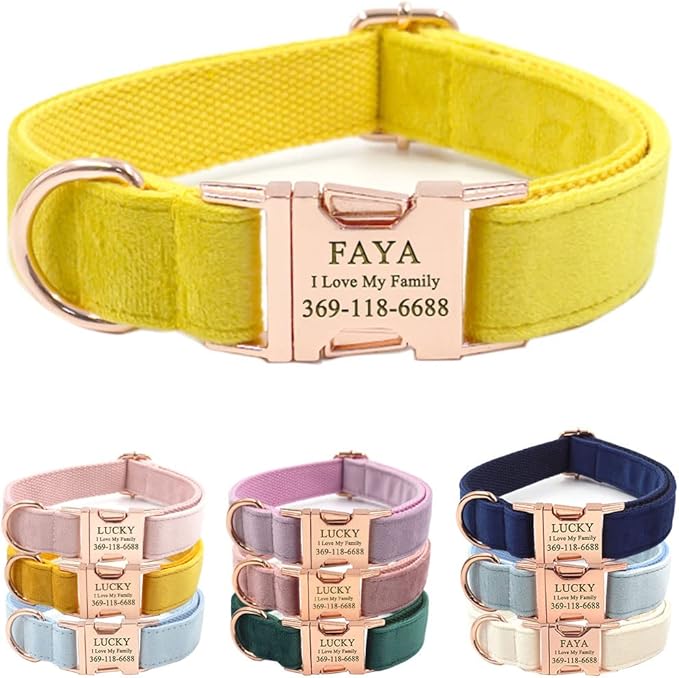 Custom Dog Collar Personalized
