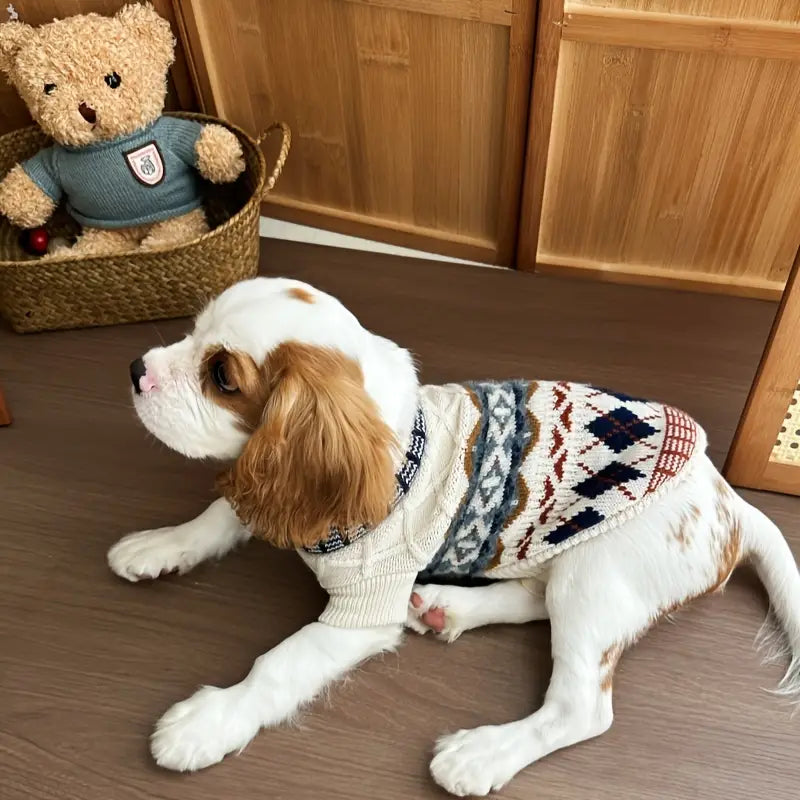 Cozy Campus Sweater