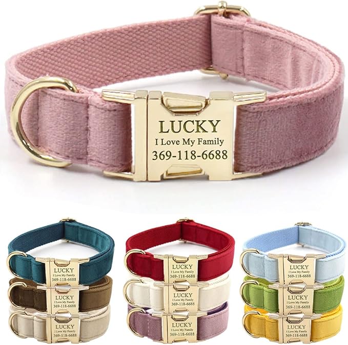 Custom Dog Collar Personalized