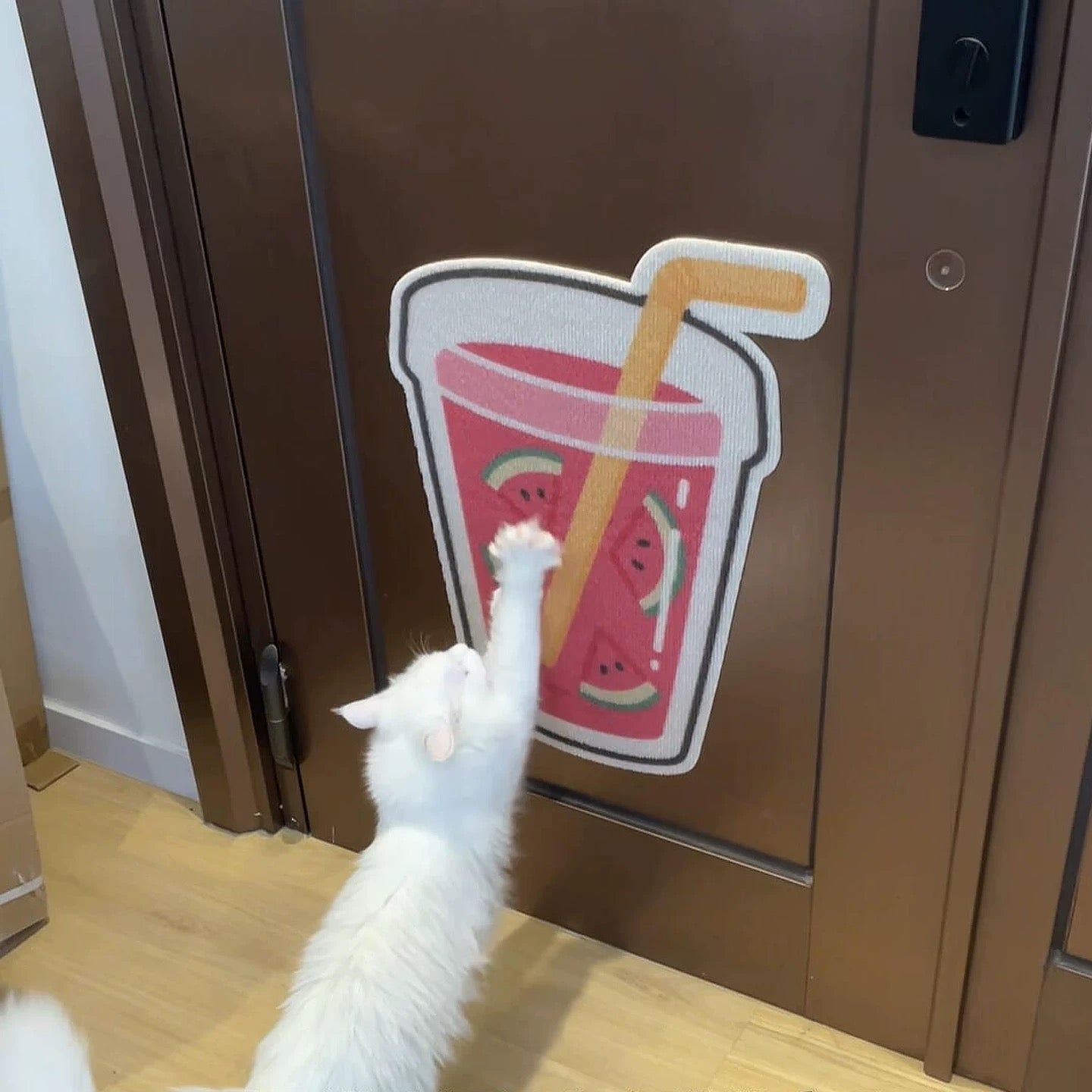 Cat Scratcher Wall Mounted Scratch Pad – Adhesive Back, Space‐Saving & Durable