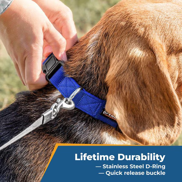 GoTags Nylon Personalized Dog Collar