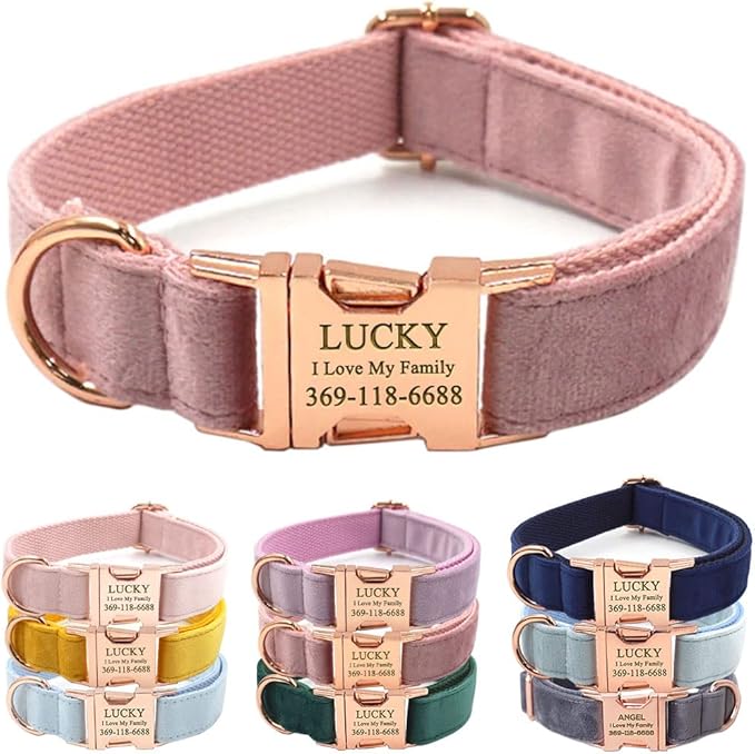 Custom Dog Collar Personalized