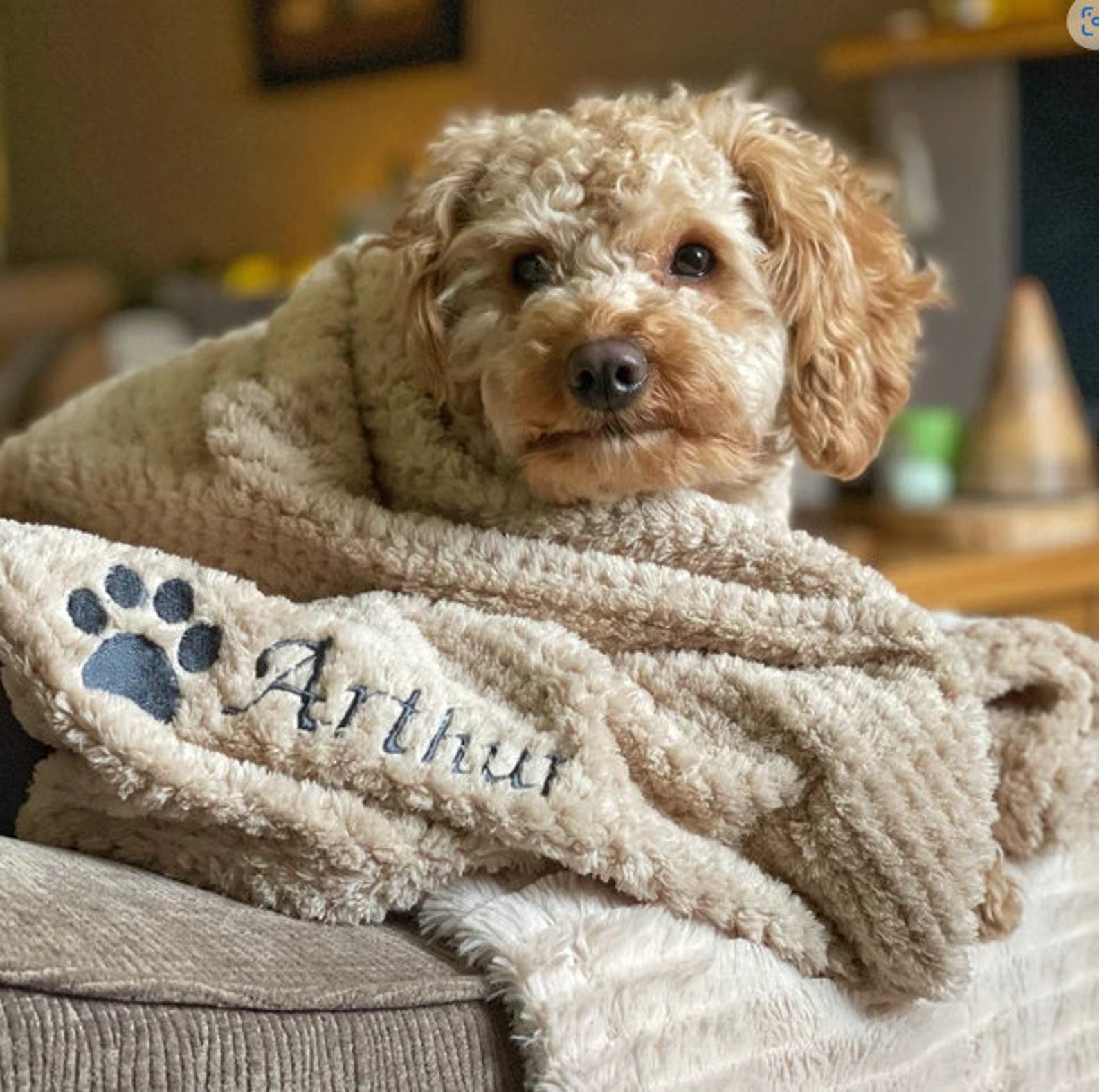Personalized Warm Pet Blanket for Comfort & Unique