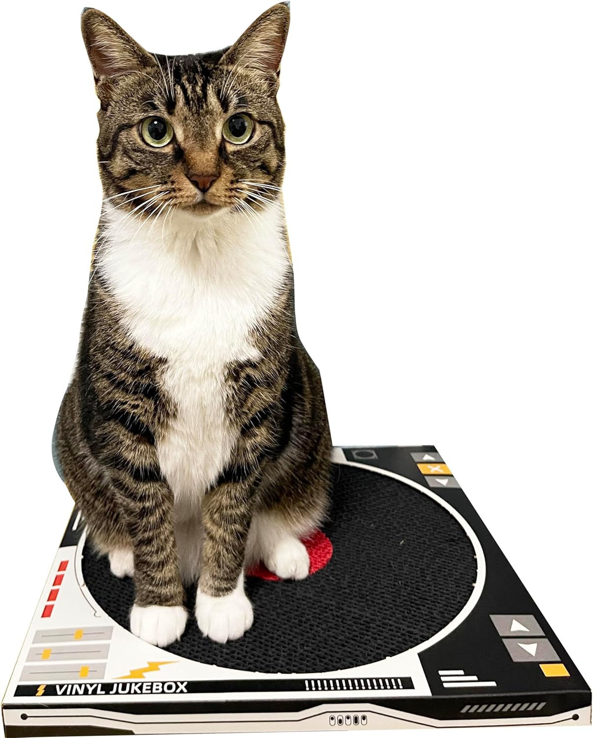 Record Player Cat Scratcher Toy
