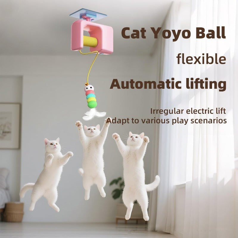 Auto-Bounce USB-C Cat Teaser Toy