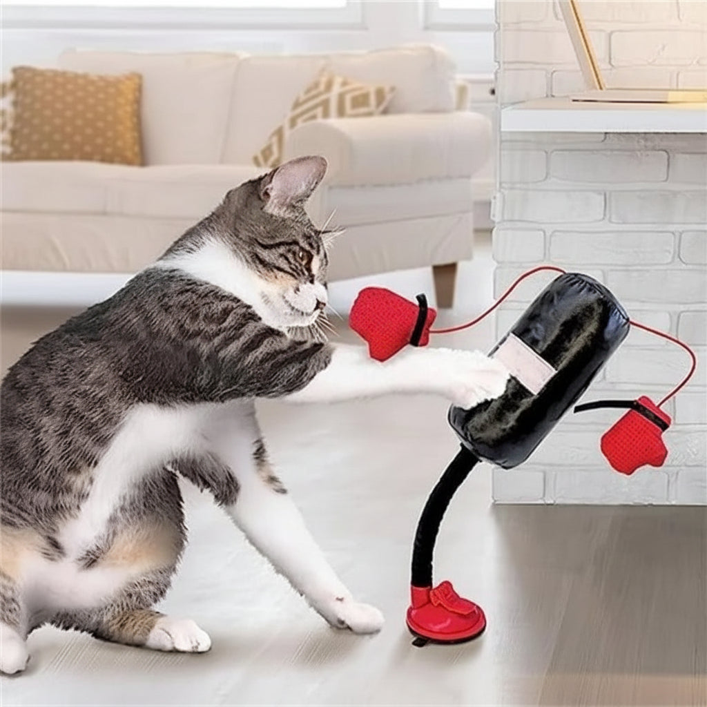 Interactive Cat Punching Boxing Toy
