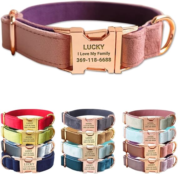 Custom Dog Collar Personalized
