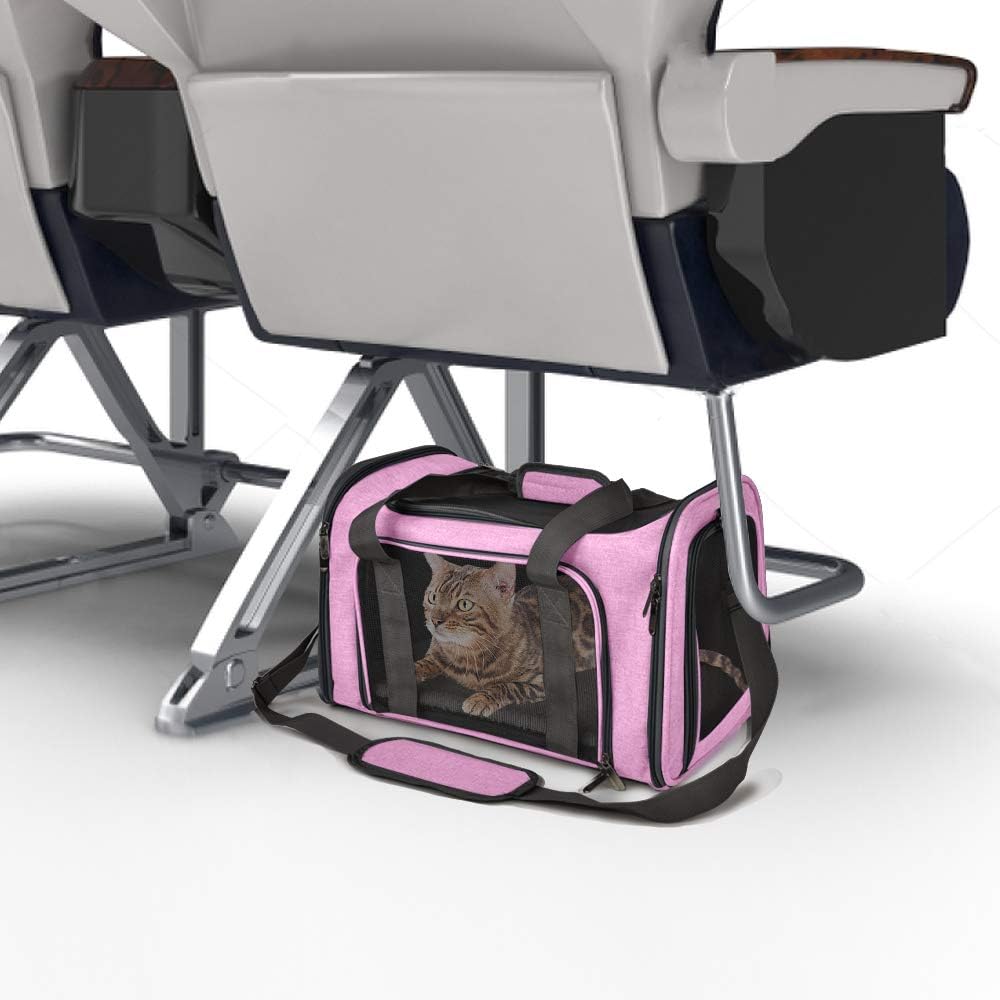 Large Soft Sided Cat and Pet Carrier for Cats