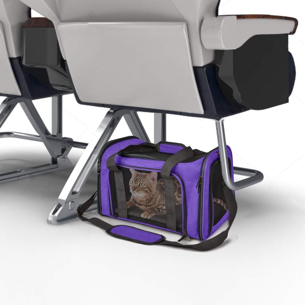 Large Soft Sided Cat and Pet Carrier for Cats