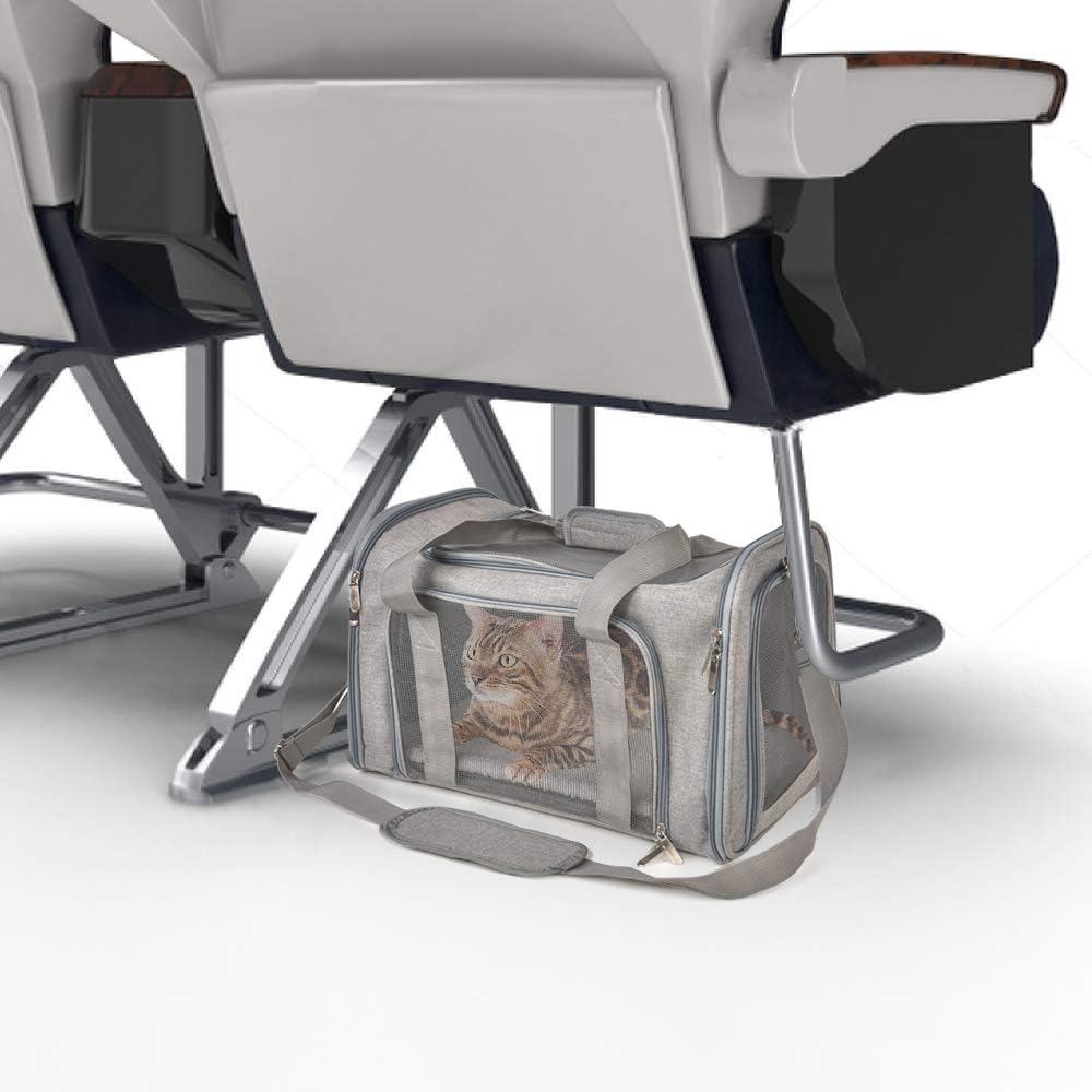 Large Soft Sided Cat and Pet Carrier for Cats