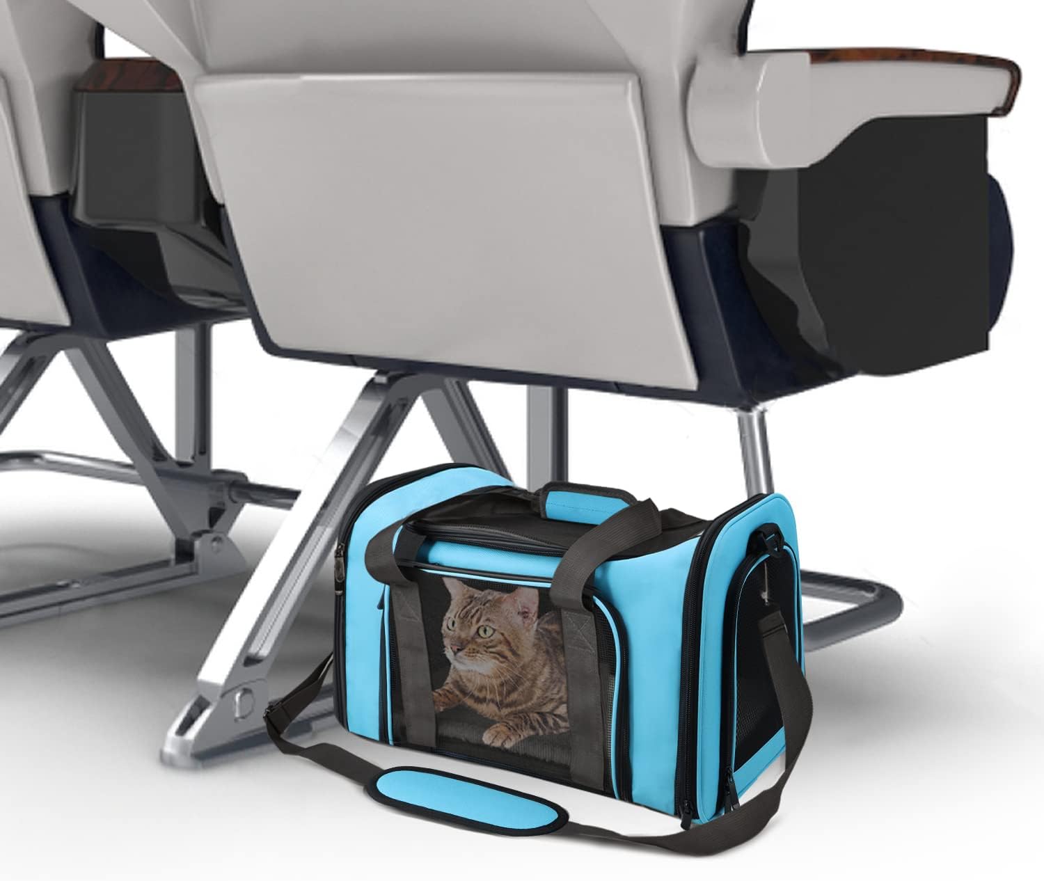 Large Soft Sided Cat and Pet Carrier for Cats