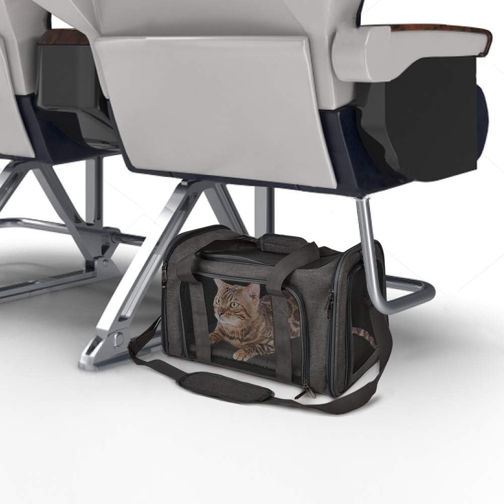 Large Soft Sided Cat and Pet Carrier for Cats