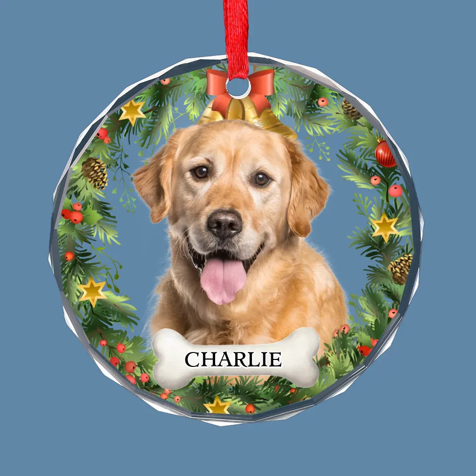 Dog & Cat Personalized Custom Circle Glass Ornament - Christmas Gift For Pet Owners