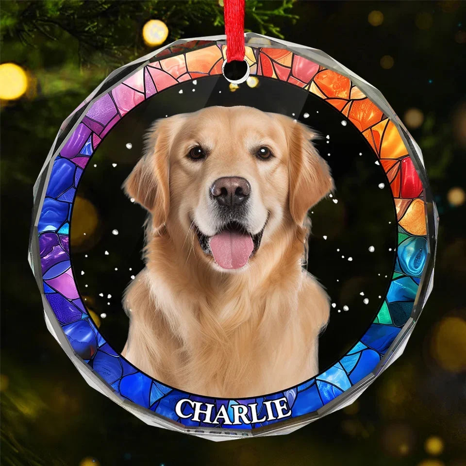 Custom Photo Every Pet Must Have His Day - Dog & Cat Personalized Custom Circle Glass Ornament - Christmas Gift For Dog Lovers, Cat Lovers