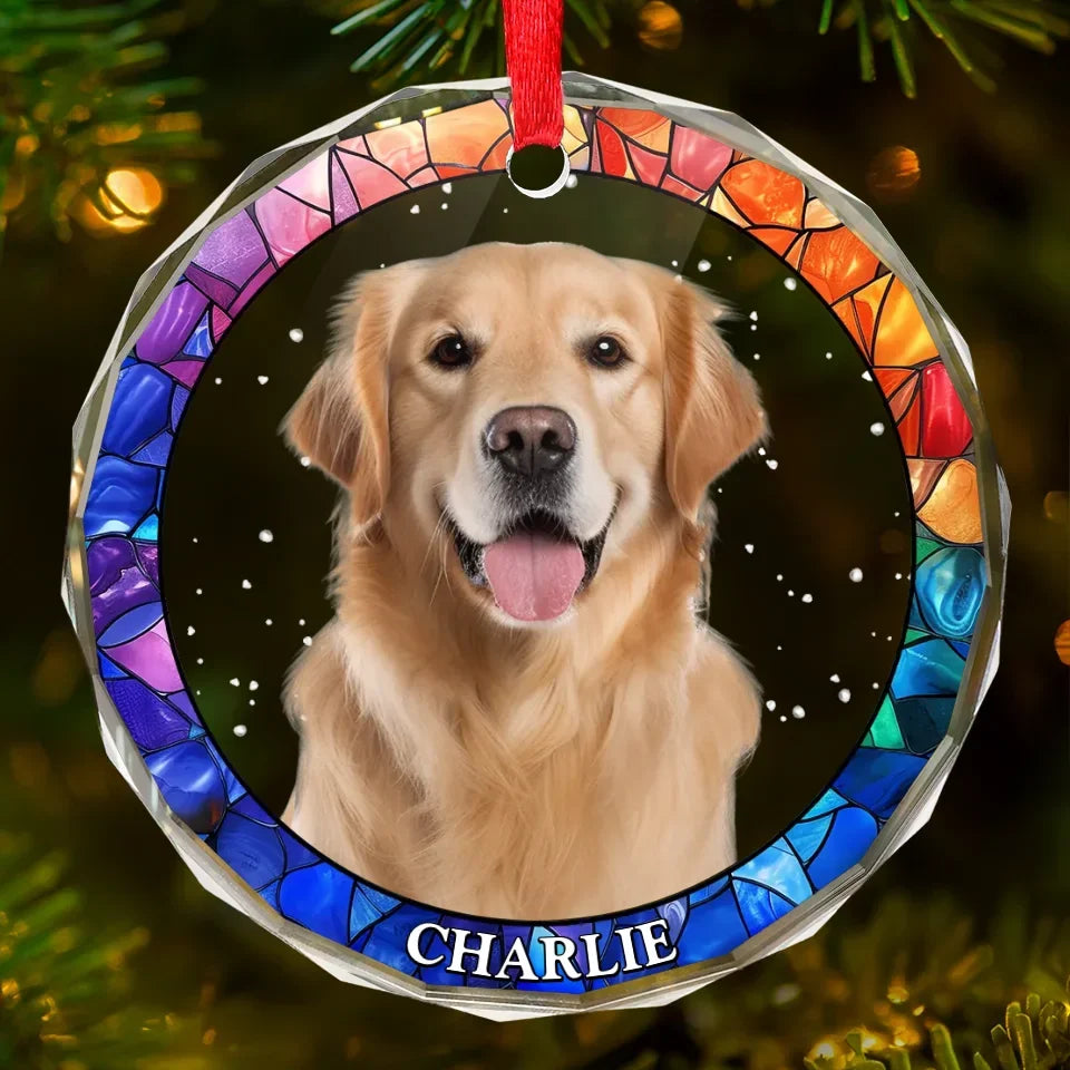 Custom Photo Every Pet Must Have His Day - Dog & Cat Personalized Custom Circle Glass Ornament - Christmas Gift For Dog Lovers, Cat Lovers