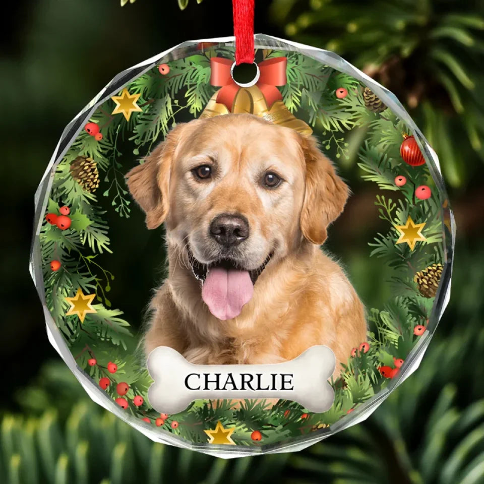 Dog & Cat Personalized Custom Circle Glass Ornament - Christmas Gift For Pet Owners
