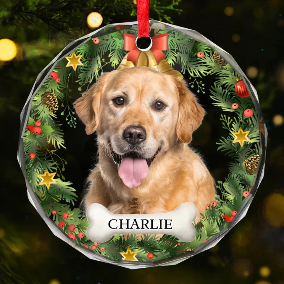 Dog & Cat Personalized Custom Circle Glass Ornament - Christmas Gift For Pet Owners