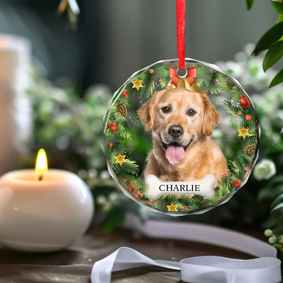 Dog & Cat Personalized Custom Circle Glass Ornament - Christmas Gift For Pet Owners