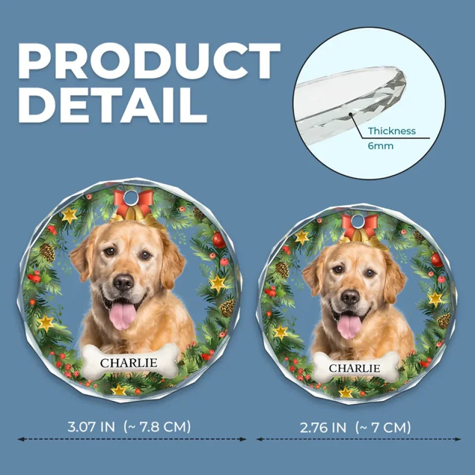 Dog & Cat Personalized Custom Circle Glass Ornament - Christmas Gift For Pet Owners