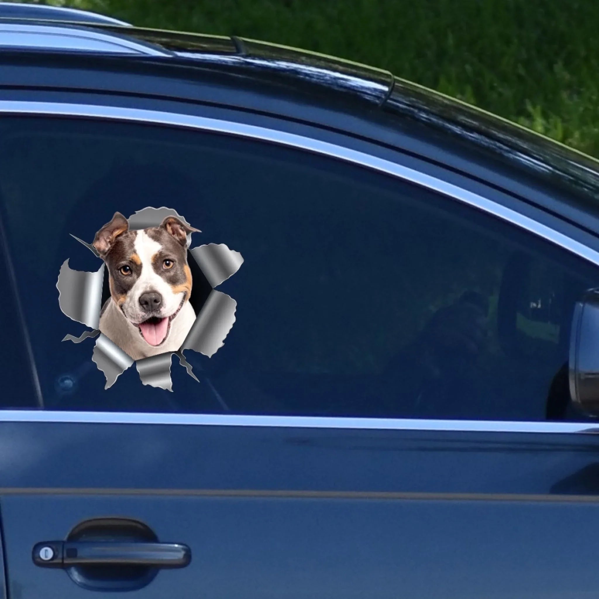 Custom Photo RV Decal