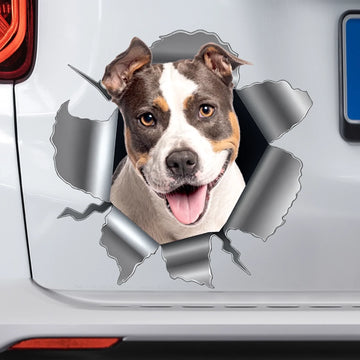 Custom Photo RV Decal