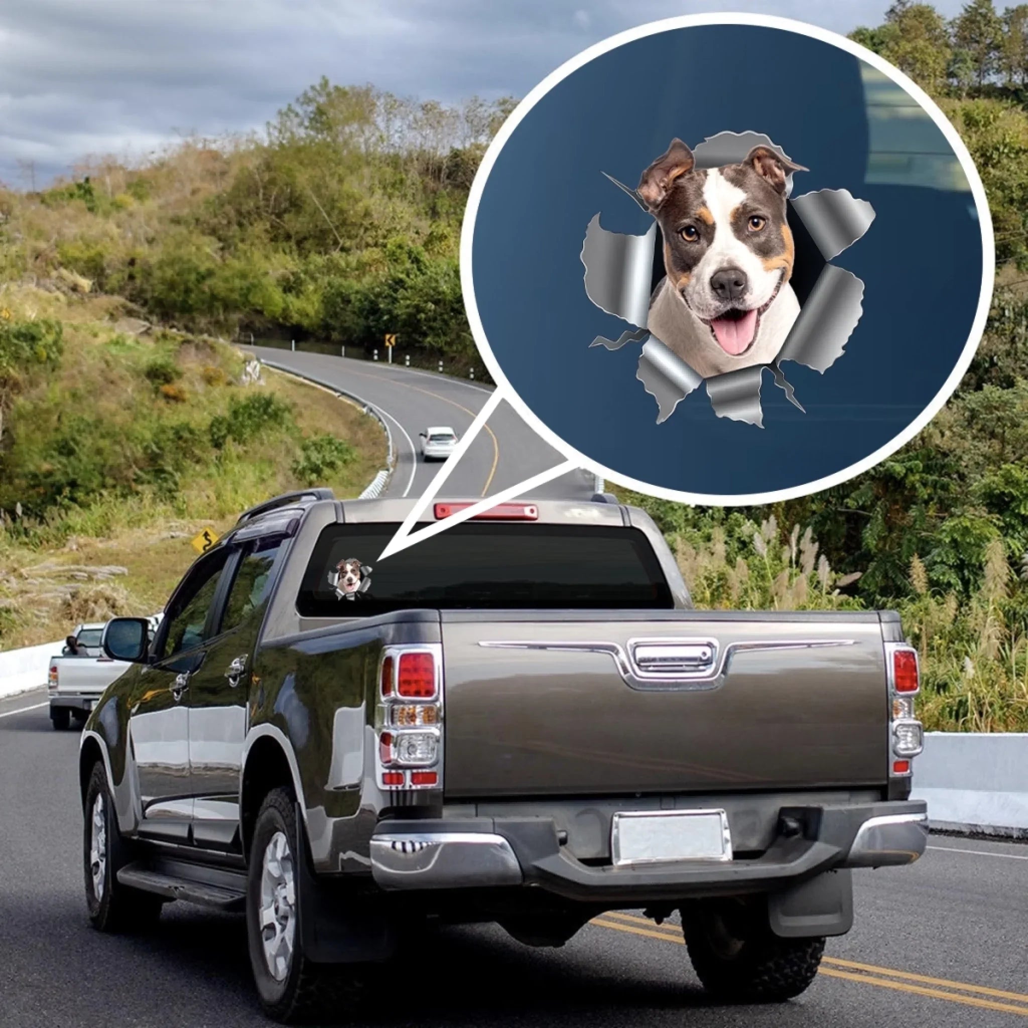 Custom Photo RV Decal