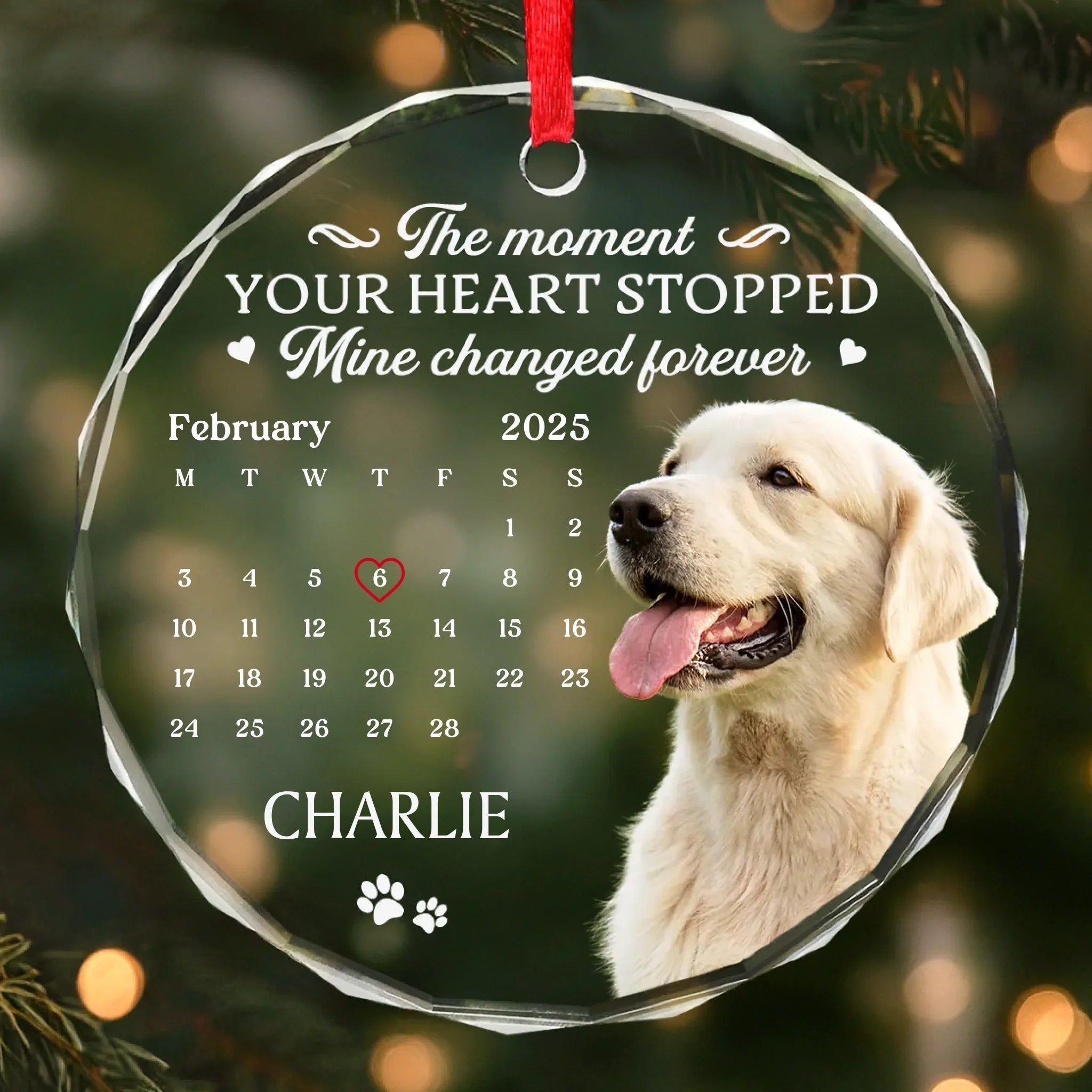 Custom Photo Circle Glass Ornament - Personalized Pet Christmas Memorial Sympathy Gifts For Dogs, Cats