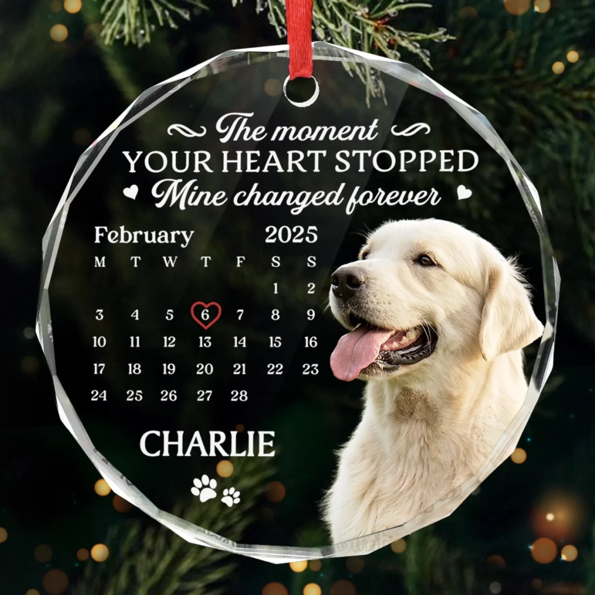 Custom Photo Circle Glass Ornament - Personalized Pet Christmas Memorial Sympathy Gifts For Dogs, Cats