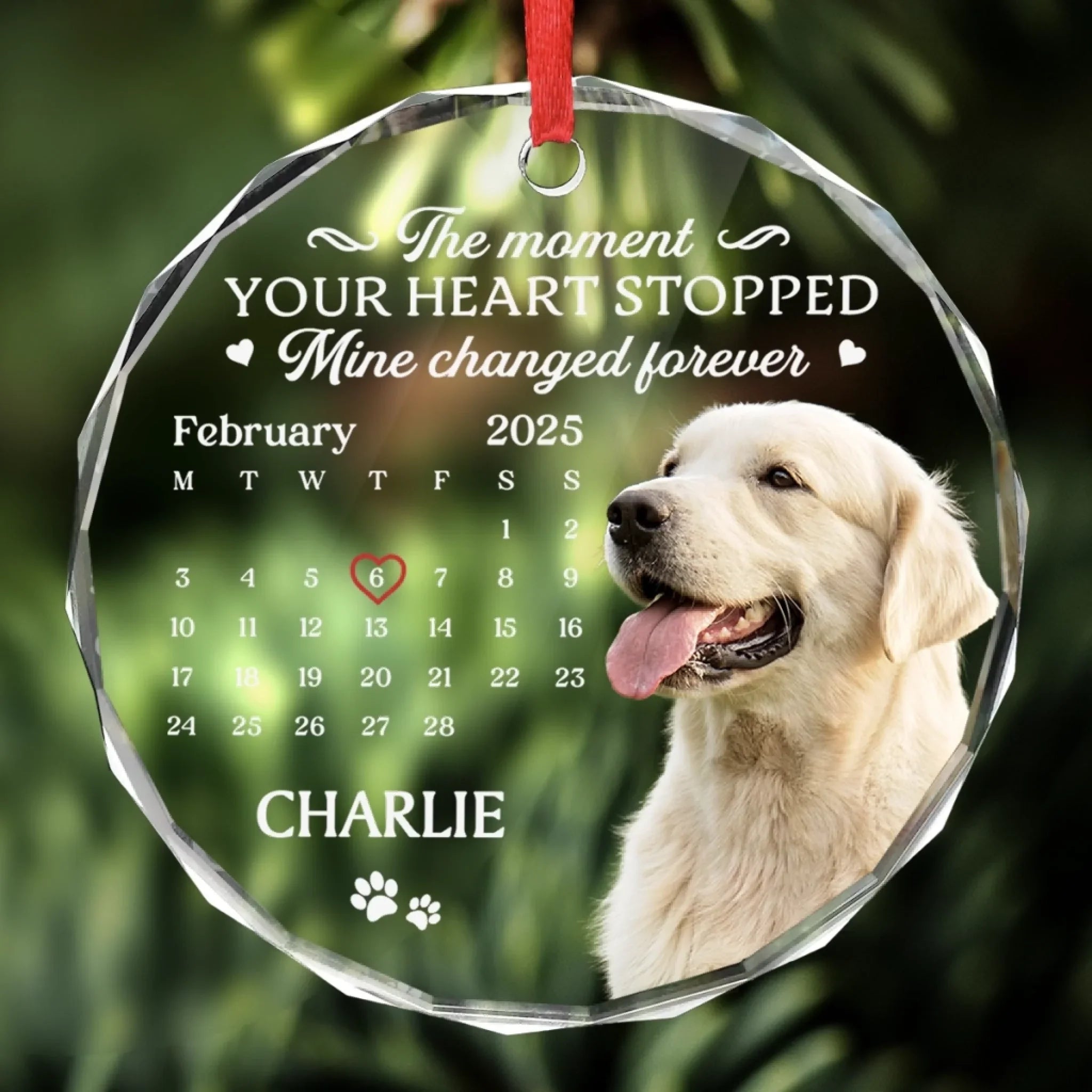 Custom Photo Circle Glass Ornament - Personalized Pet Christmas Memorial Sympathy Gifts For Dogs, Cats