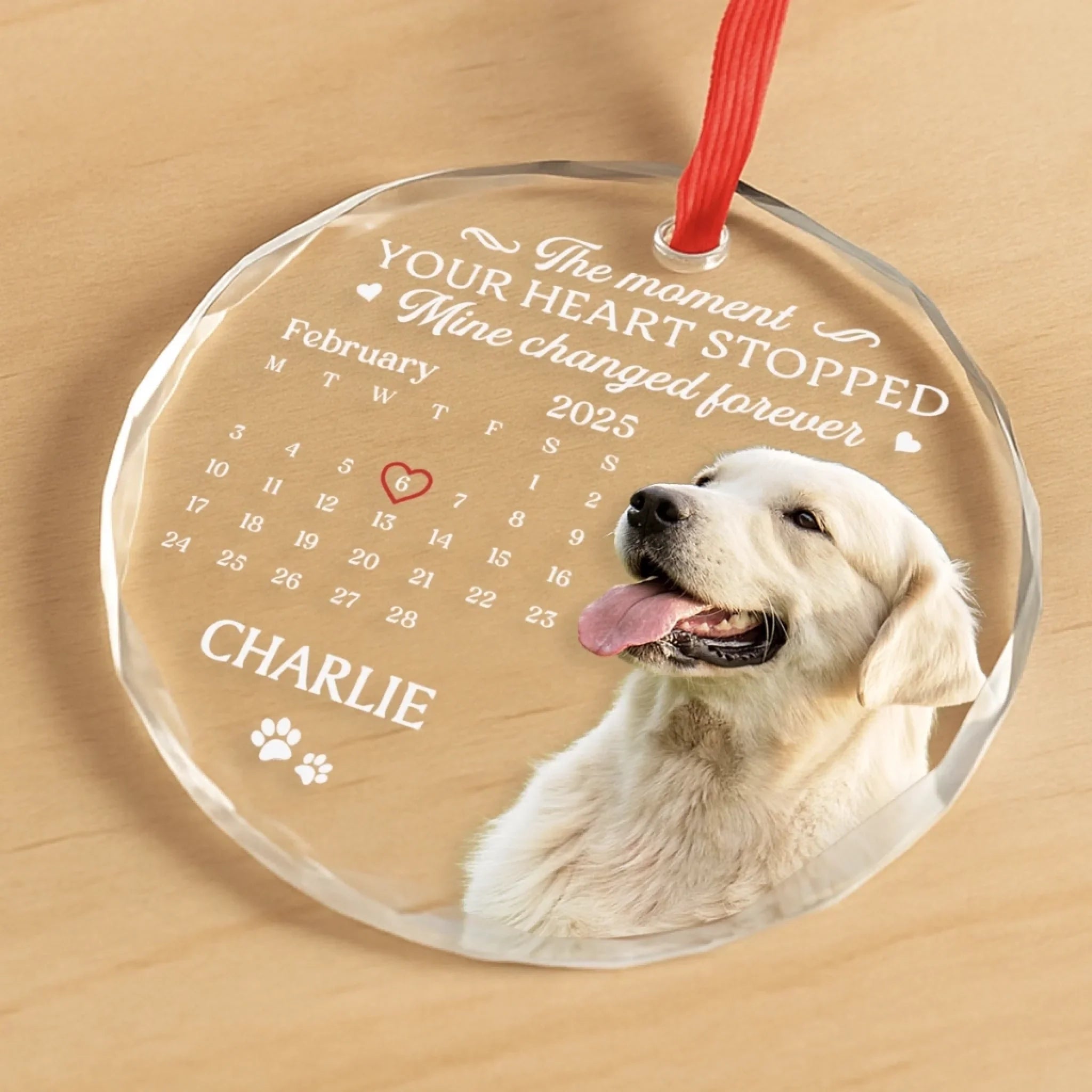 Custom Photo Circle Glass Ornament - Personalized Pet Christmas Memorial Sympathy Gifts For Dogs, Cats