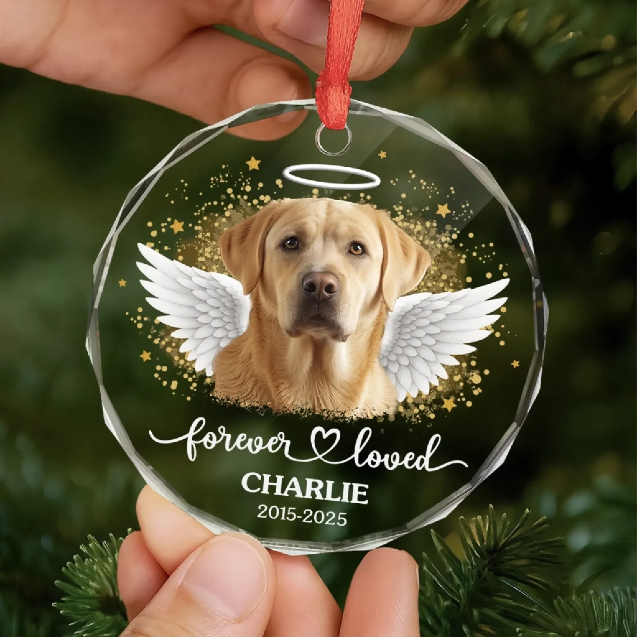 Custom Photo Circle Glass Ornament - Personalized Pet Christmas Memorial Sympathy Gifts For Dogs, Cats