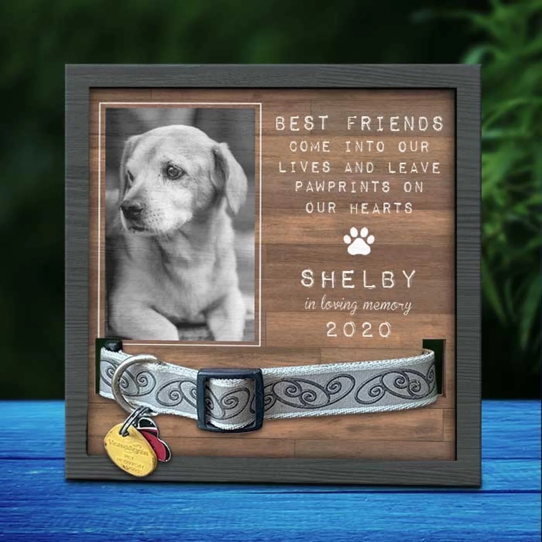 Custom Photo Pet Loss Sign, Collar Frame