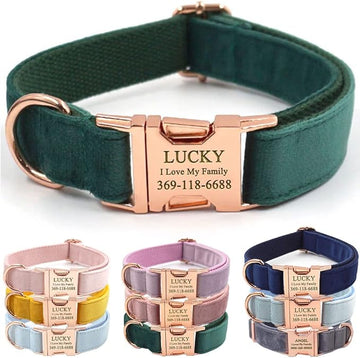 Personalized Dog Collar – Custom Engraved Collar for Dogs