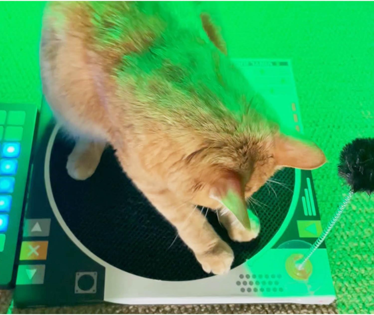 Record Player Cat Scratcher Toy