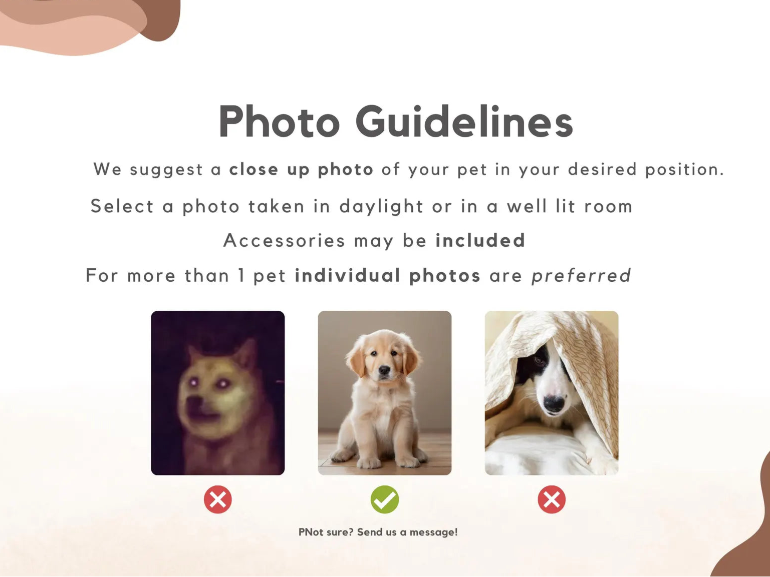 Custom Pet Blanket Using Pet Photo + Name