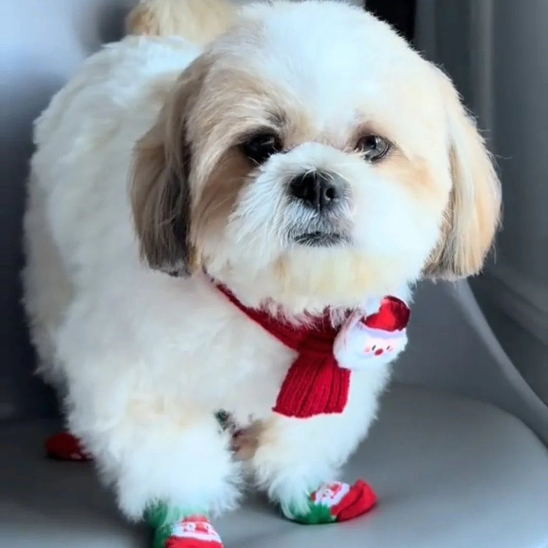 Festive Friends Pet Knit Scarf