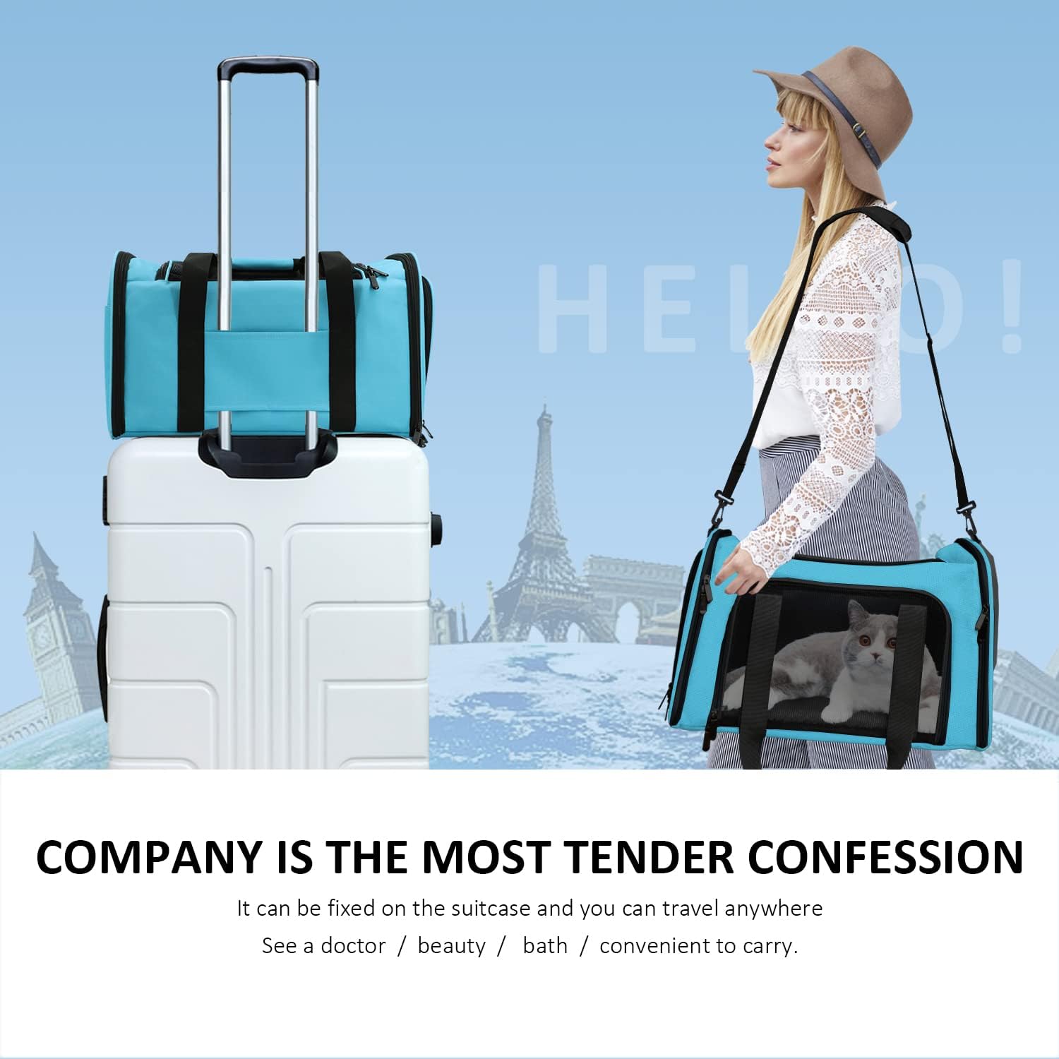 Large Soft Sided Cat and Pet Carrier for Cats