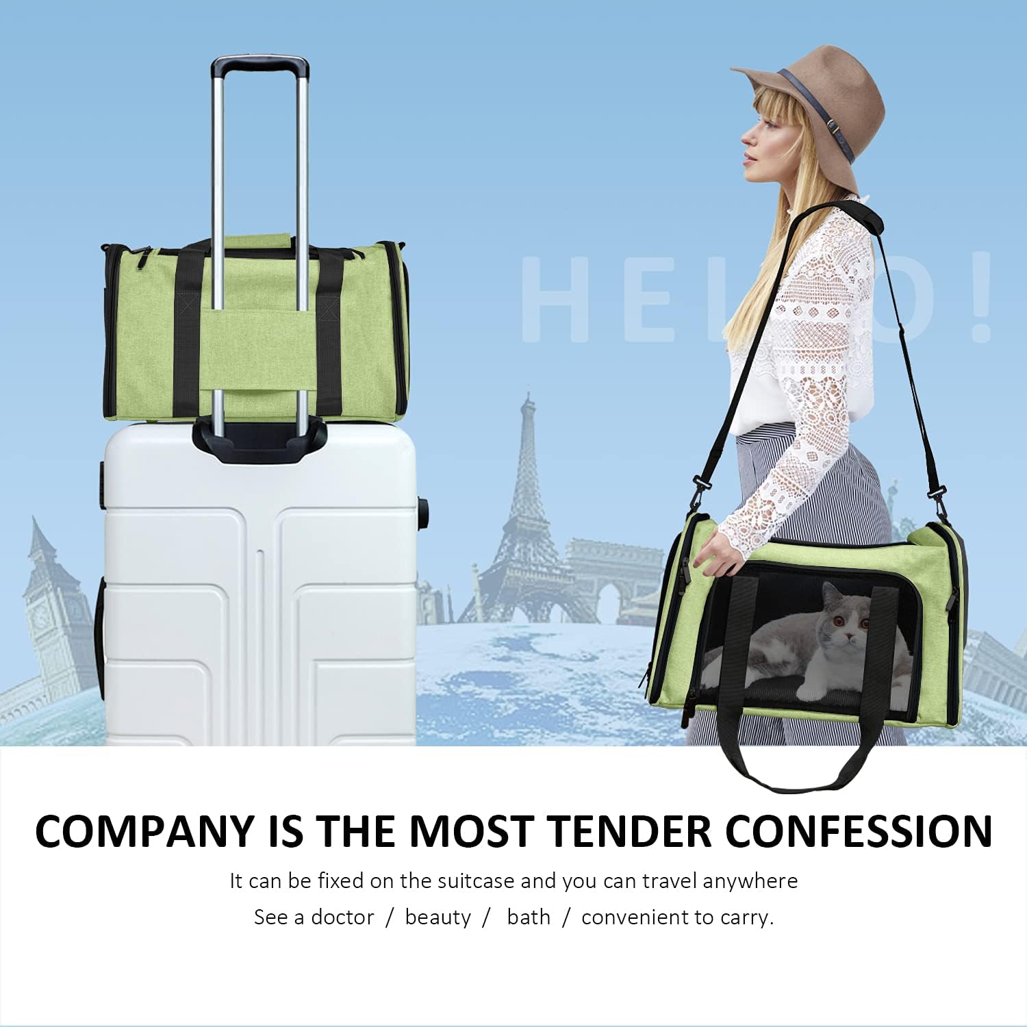 Large Soft Sided Cat and Pet Carrier for Cats
